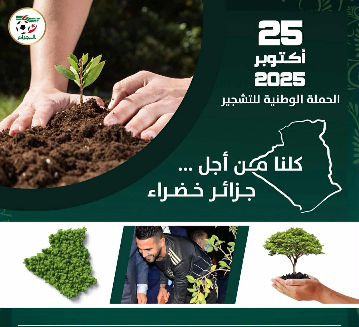 الحملة الوطنية للتشجير 